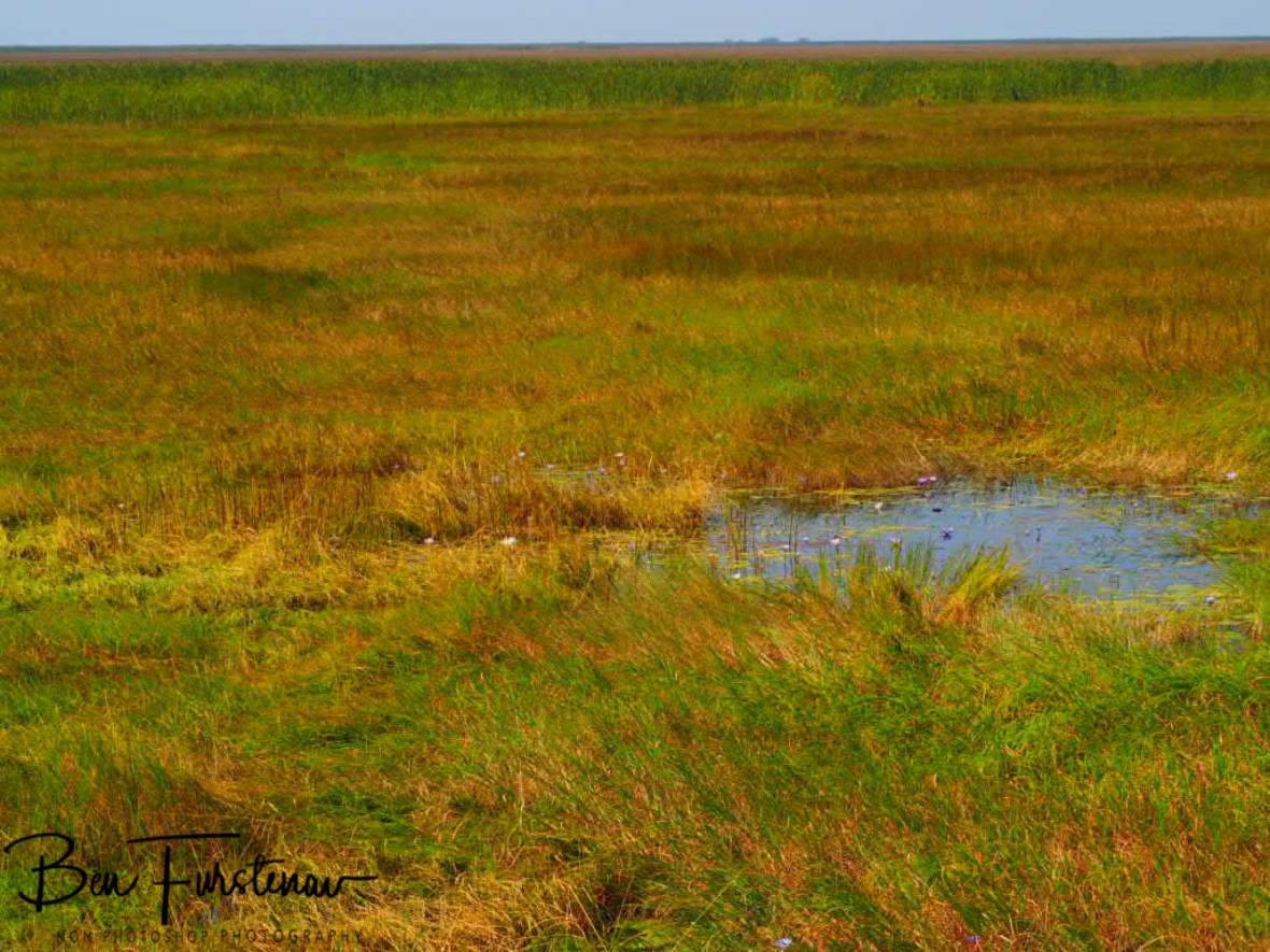 Green Marsh National Park is more appropriate, Blue Lagoon National Park, Zambia