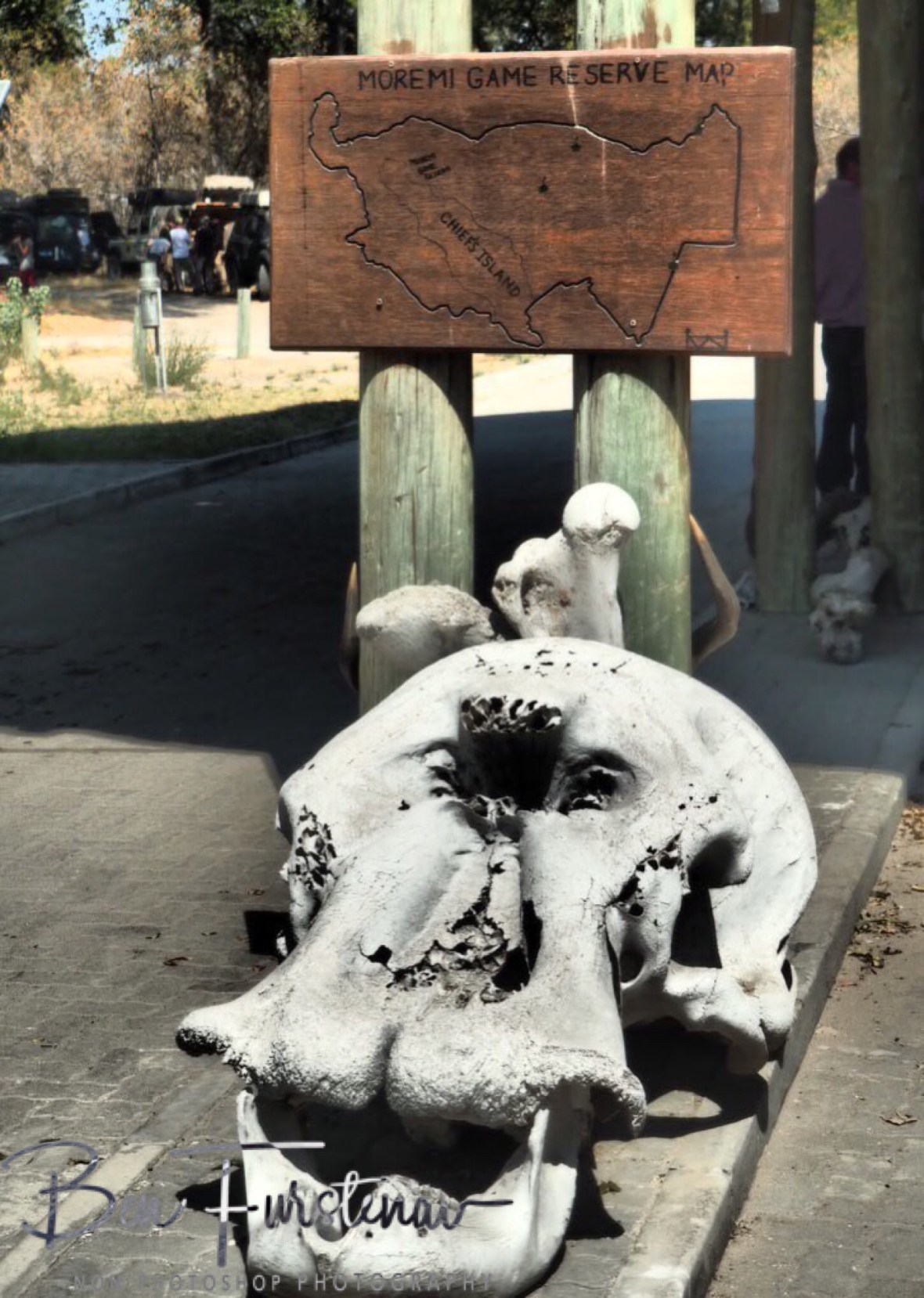 Northern Moremi National Park Gate, Okavango Delta, Botswana