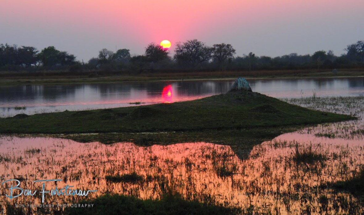 Yellow glowing sunrise at Third bridge, Moremi National Park, Okavango Delta, Botswana 