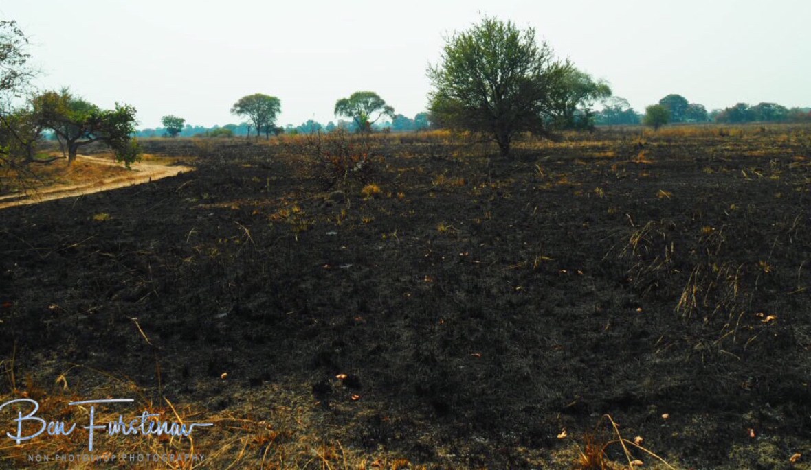 Empty, Burnt land, Kafue National Park, Zambia 