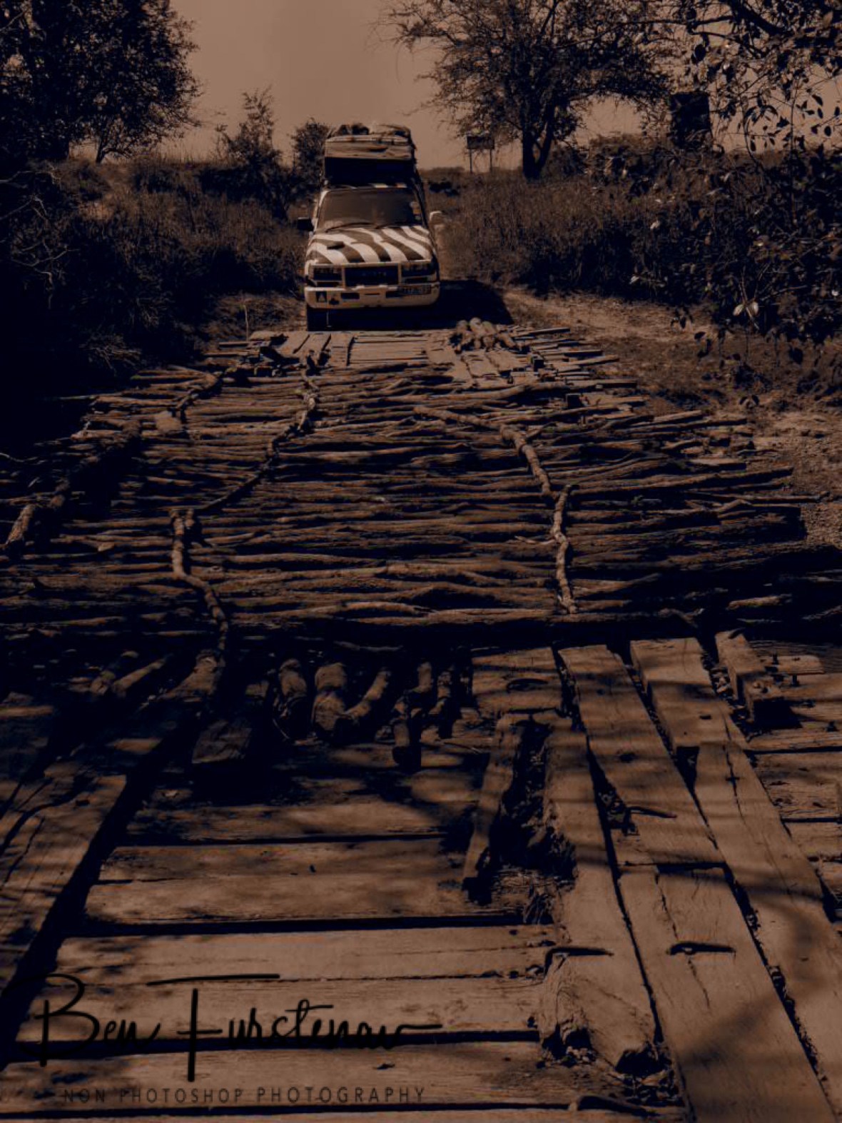 Stop or go? Kafue National Park, Zambia