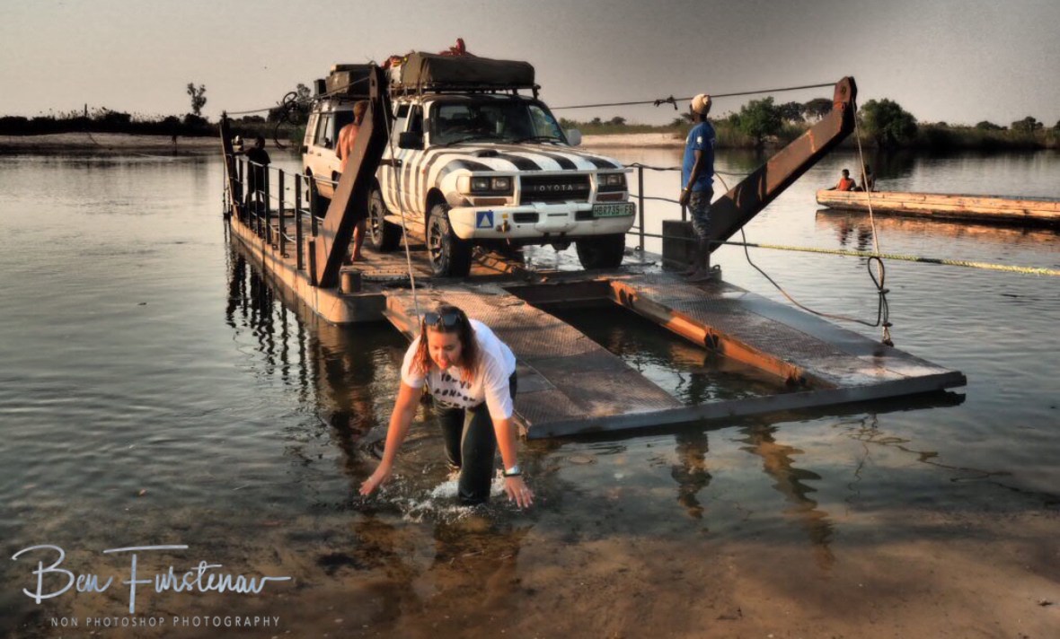 A refreshing  nose dive, Liuwa Plains National Park, Zambia 