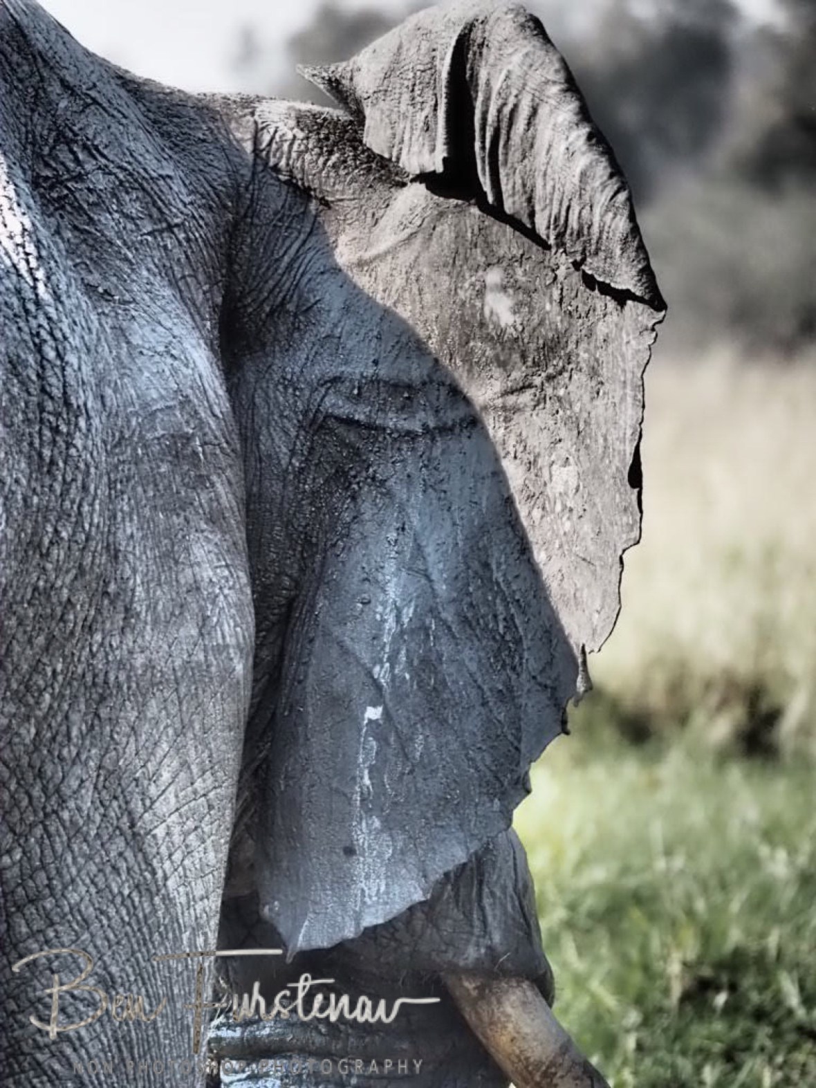 Map off Africa? Moremi National Park Botswana