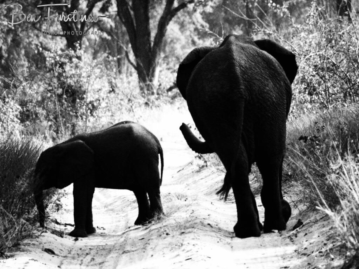 7A4E1D44-CF88-4A21-B407-935954952B08