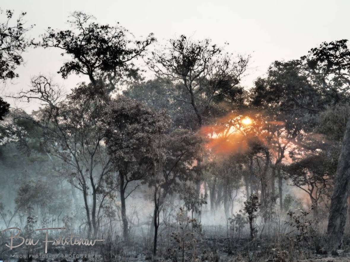 Dust covered sunset, Kafue National Park, Zambia