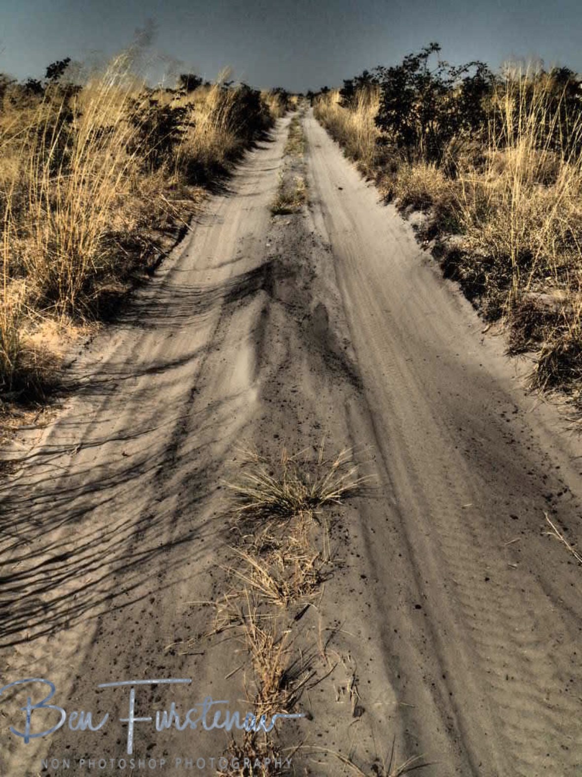 The long and sandy road, Moremi National Park, Okavango Delta, Botswana