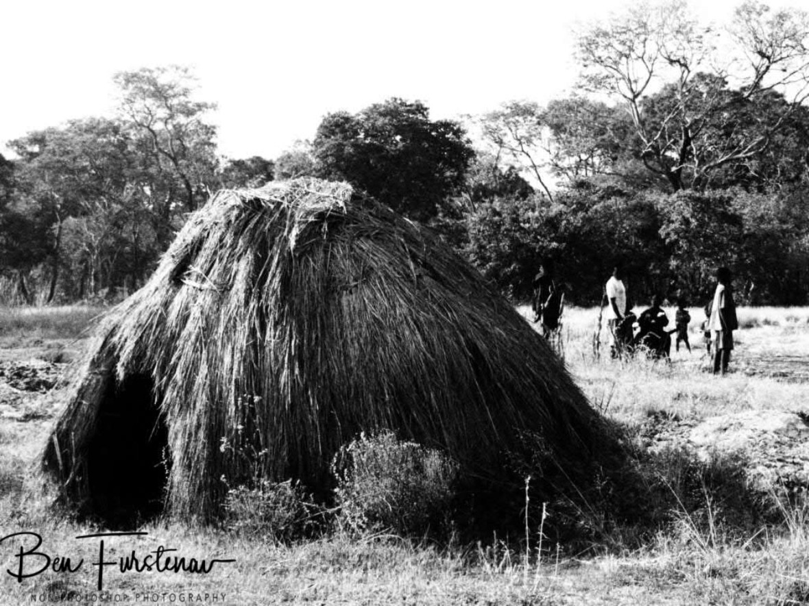 Local visit, Liuwa Plains National Park, Zambia 