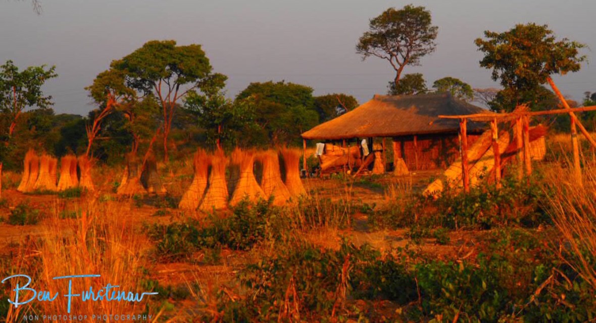 Typical housing near Lukulu, Zambia 