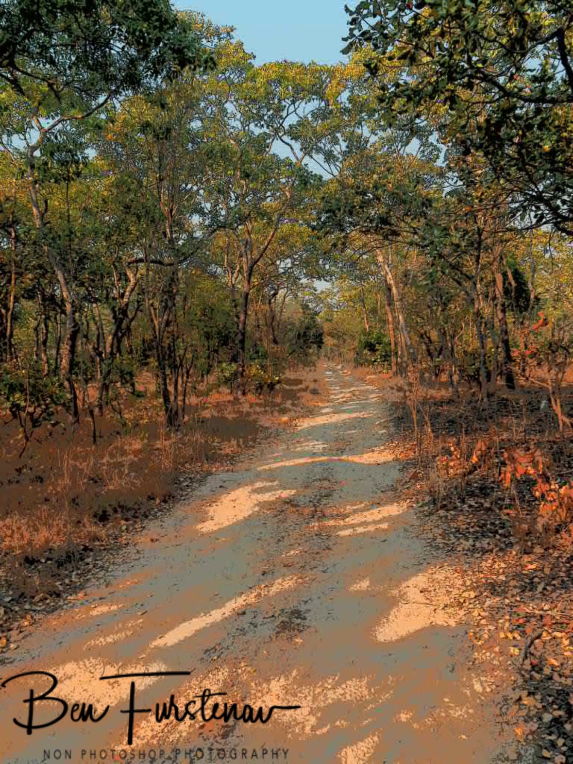 Definitely more scenic drive, Kafue National Park, Zambia 