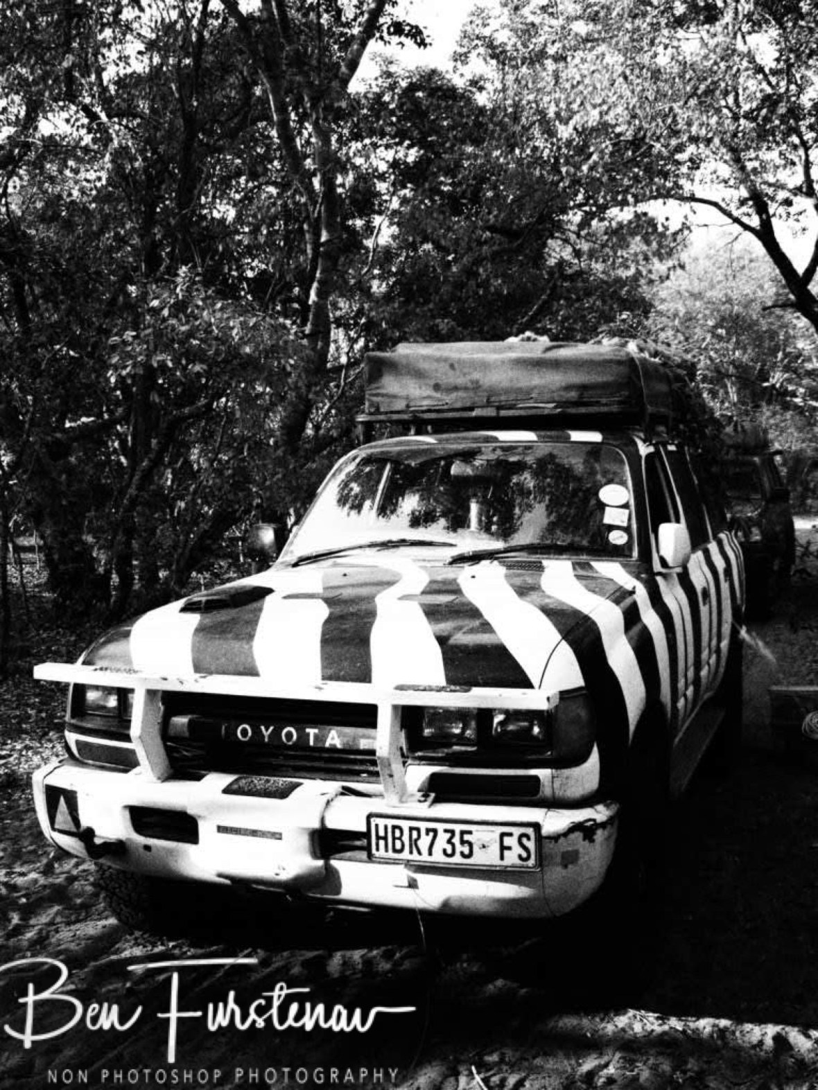 Zimba blends in well in Liuwa Plains National Park, Zambia 