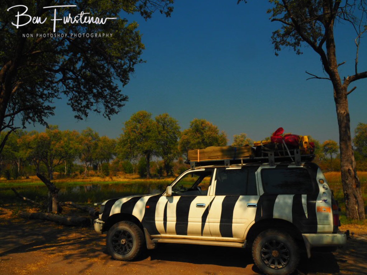 One of many Lagoons and swamps, Kwai Region, Okavango Delta, Botswana