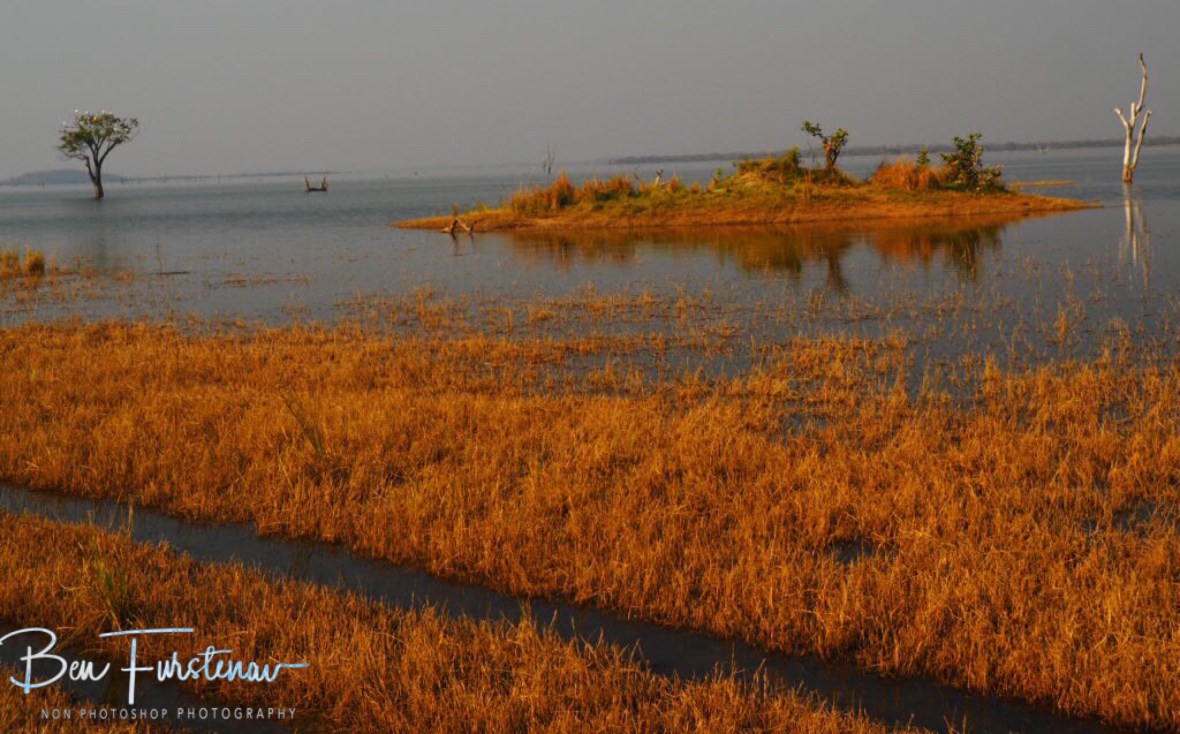 Swampy shore off lake Itezhi-Tezhi, Kafue National Park, Zambia 