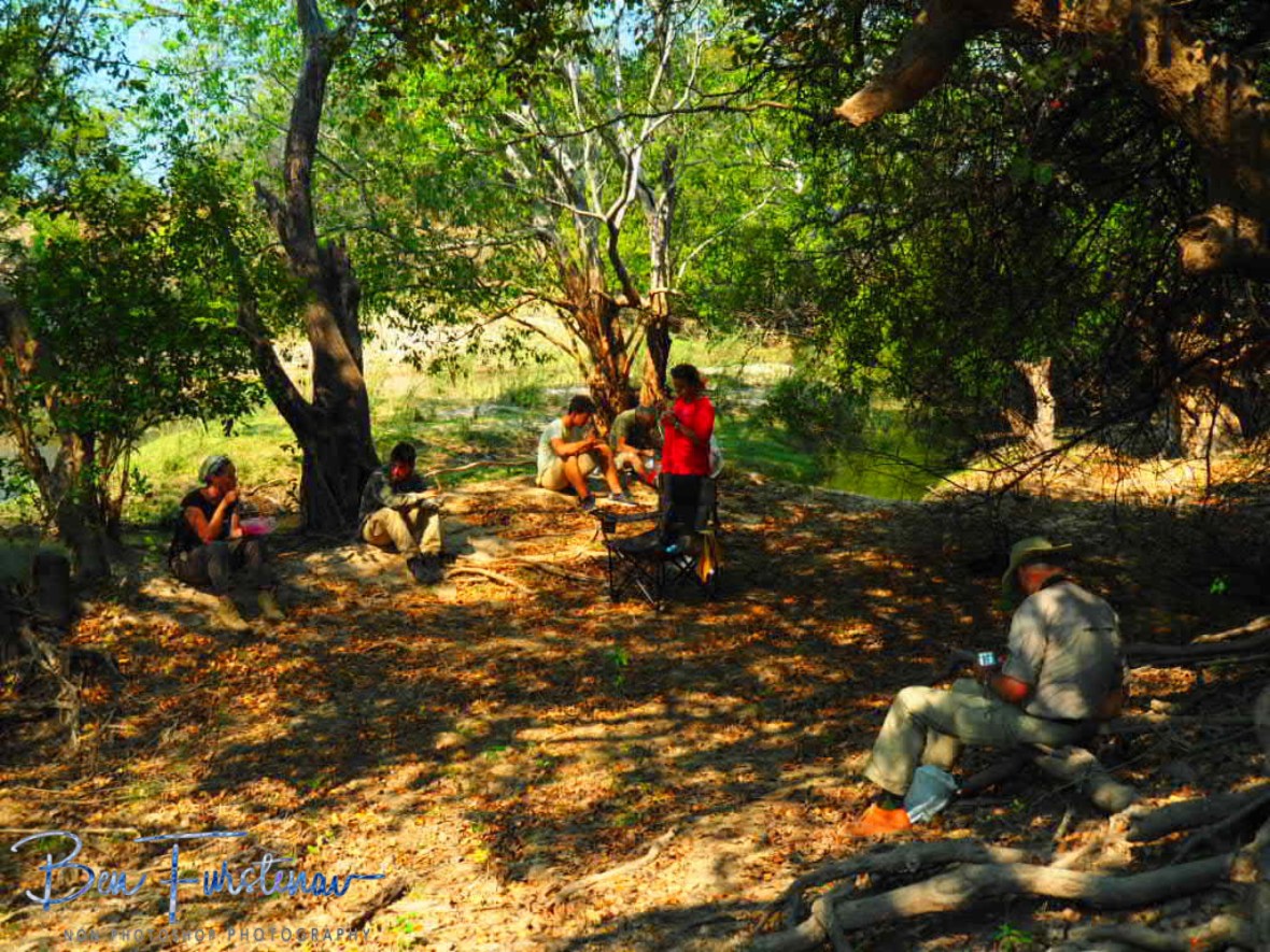 Perfect picnic spot in arid National Park, Kafue National Park, Zambia 