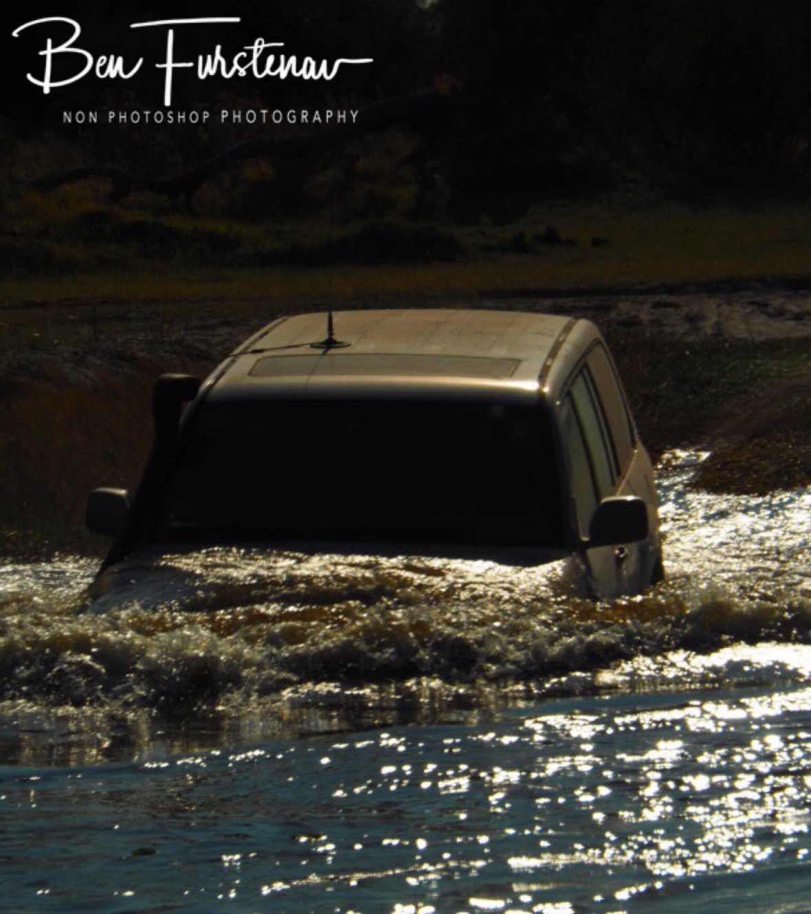 Nose dive in to the Kwai River, Okavango Delta, Botswana 