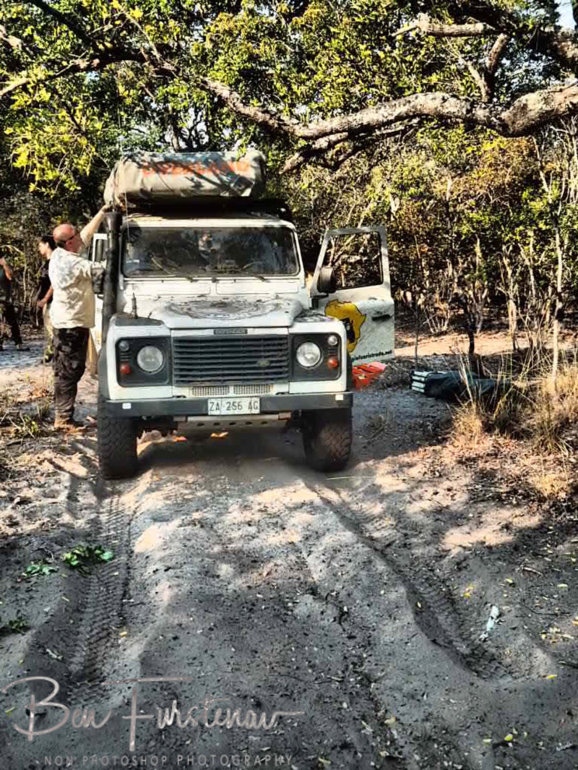 Stopped by a tree, Liuwa Plains National Park, Zambia 