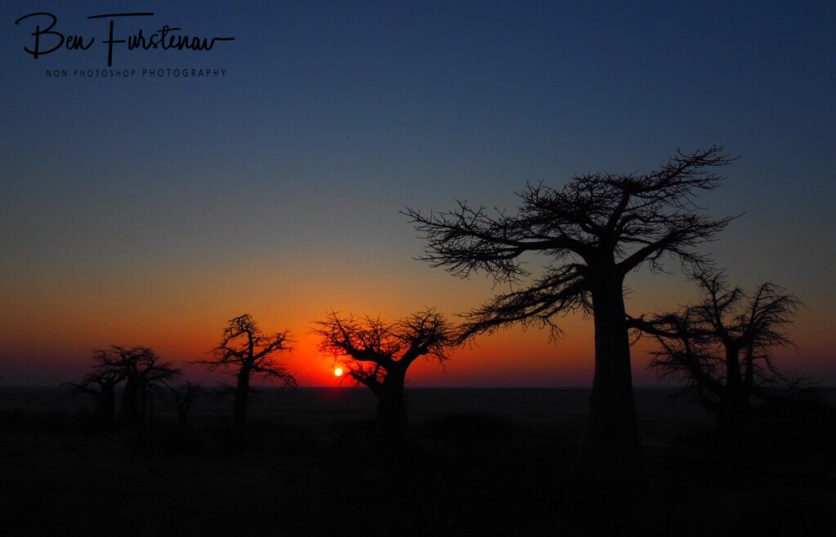 Here comes the Sun, Kubu Island, Makgadikgadi Salt Pans, Botswana 