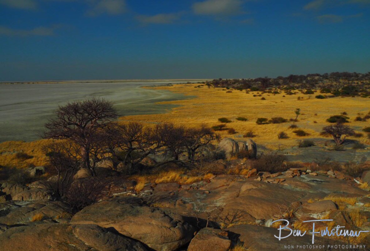 Kubu islands east coast, Makgadikgadi Salt Pans, Botswana 