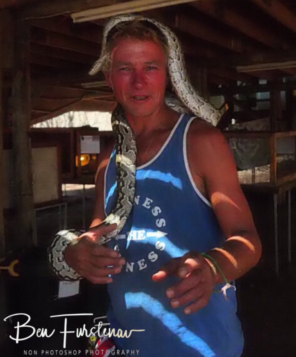 Juvenile python at CARACAL Wildlife centre, Kasane, Botswana
