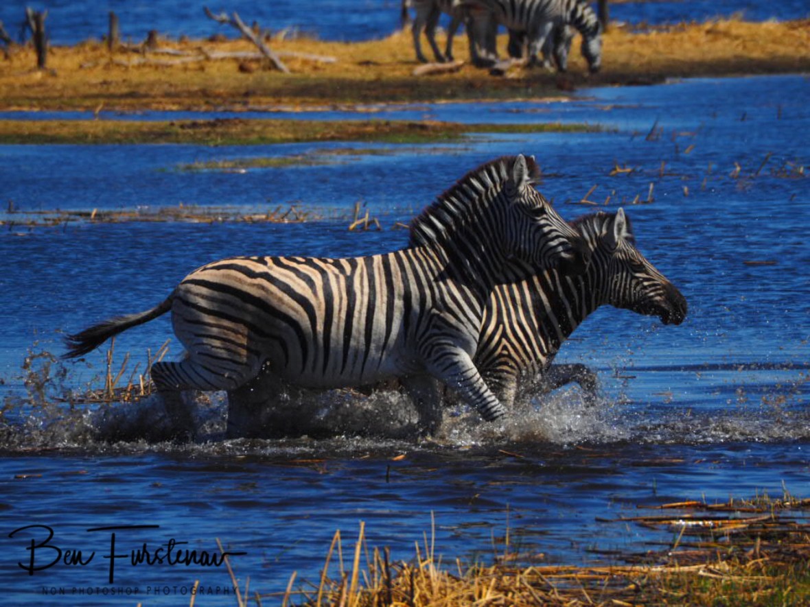 Double shower, Makgadikgadi National Park, Botswana