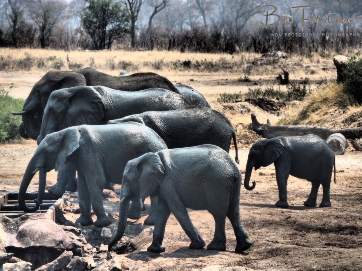 A well designed well, Khaudum National Park, Namibia