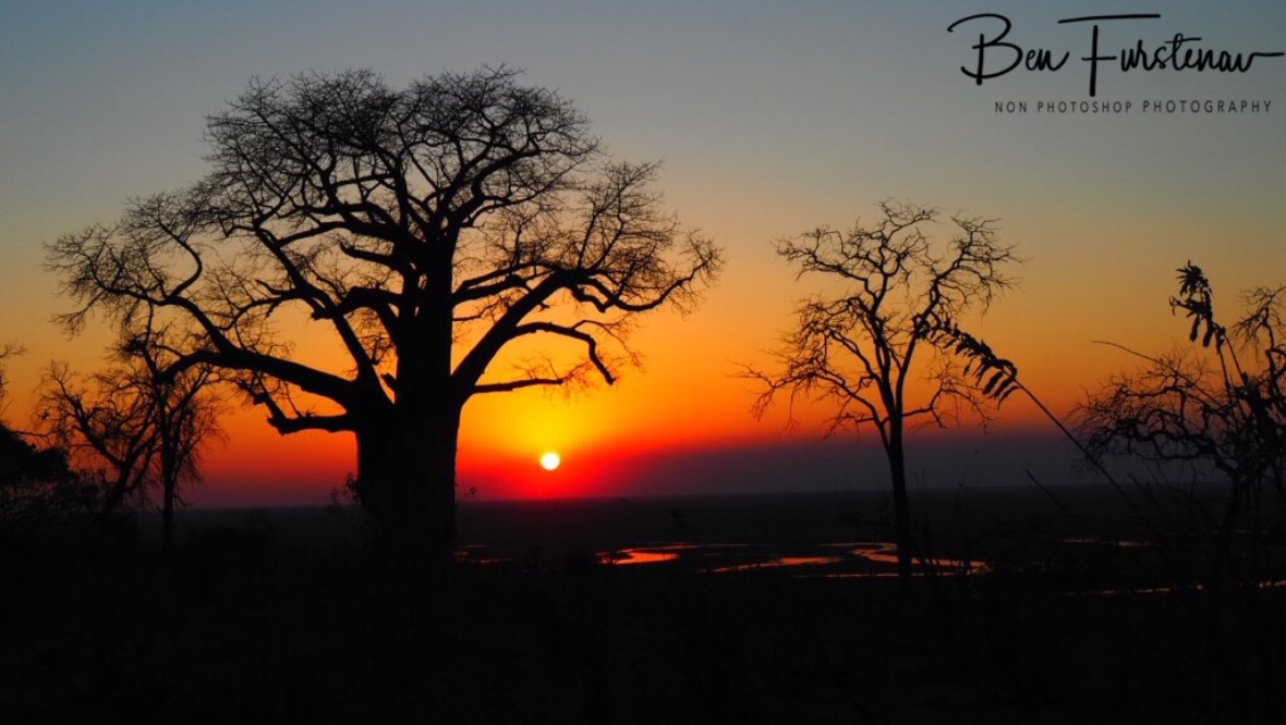 Serenity pure bliss, Okavango Delta, Botswana