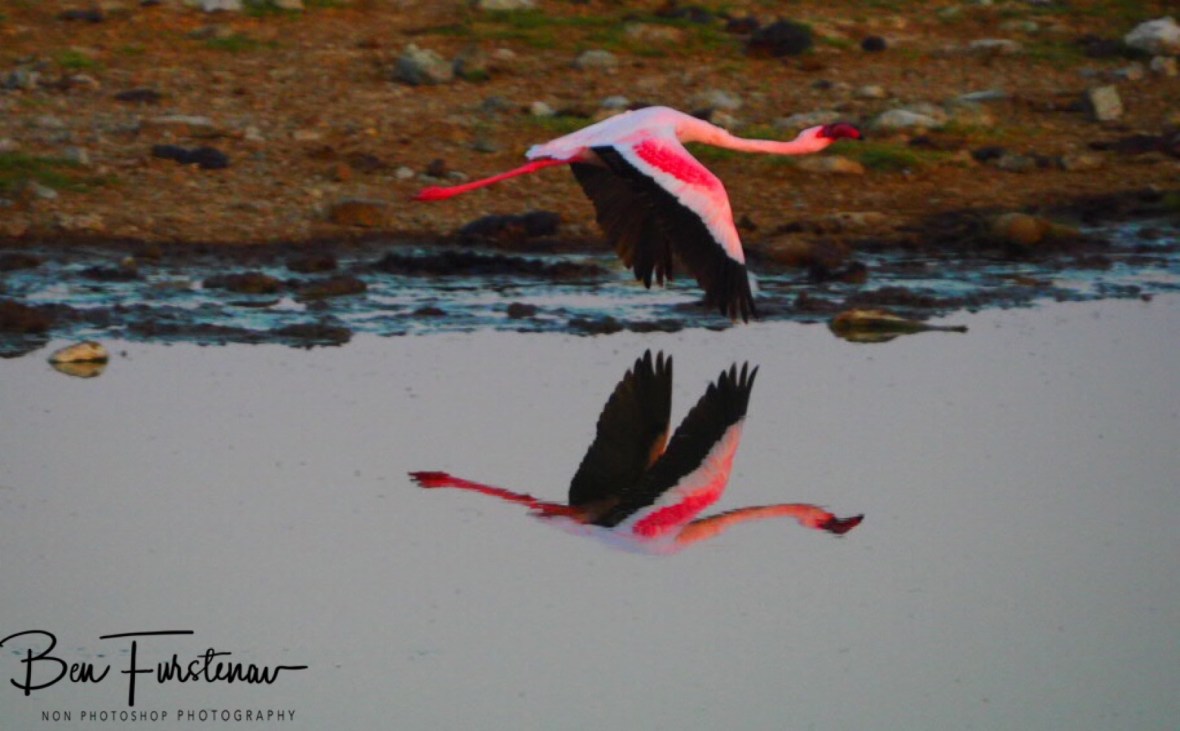 Of the ground, Makgadikgadi Salt Pans, Botswana 