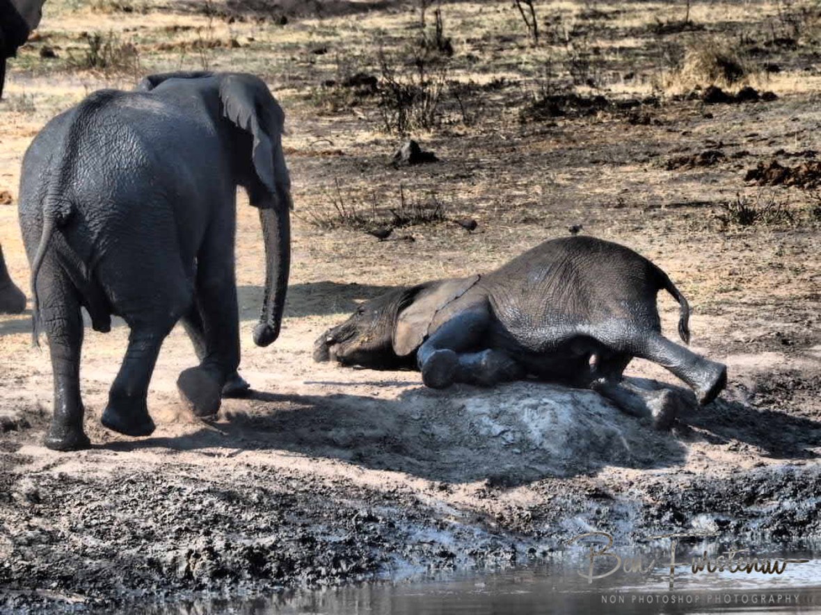 I just lay here for a while, Khaudum National Park, Namibia