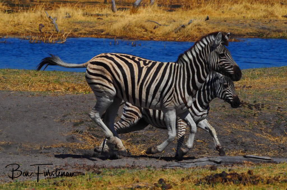 All colours, Makgadikgadi National Park, Botswana