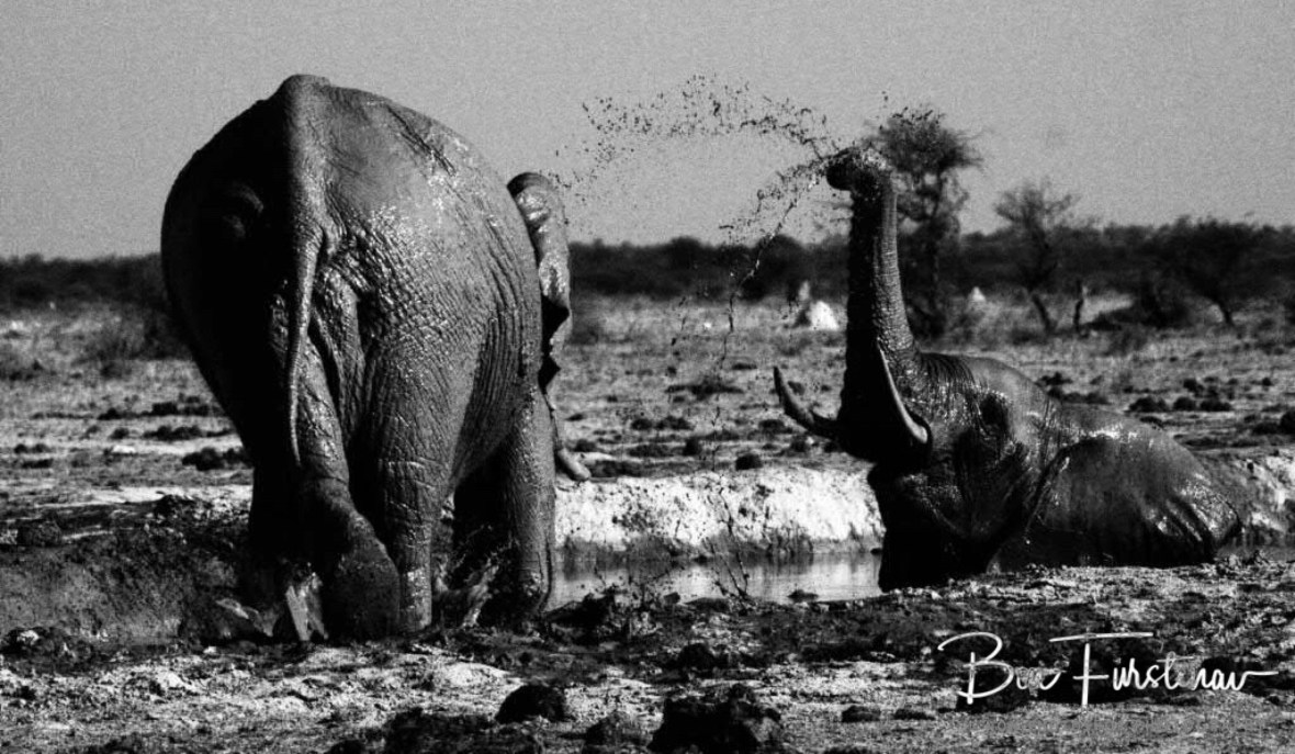 Welcome back shower, Nxai National Park, Botswana