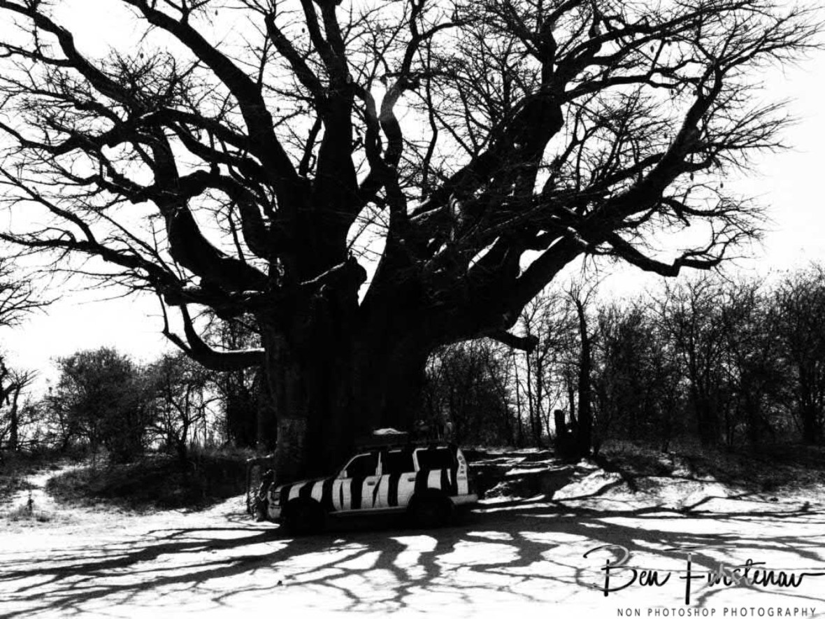 Shadowplay in black and white, Makgadikgadi Salt Pans, Botswana 