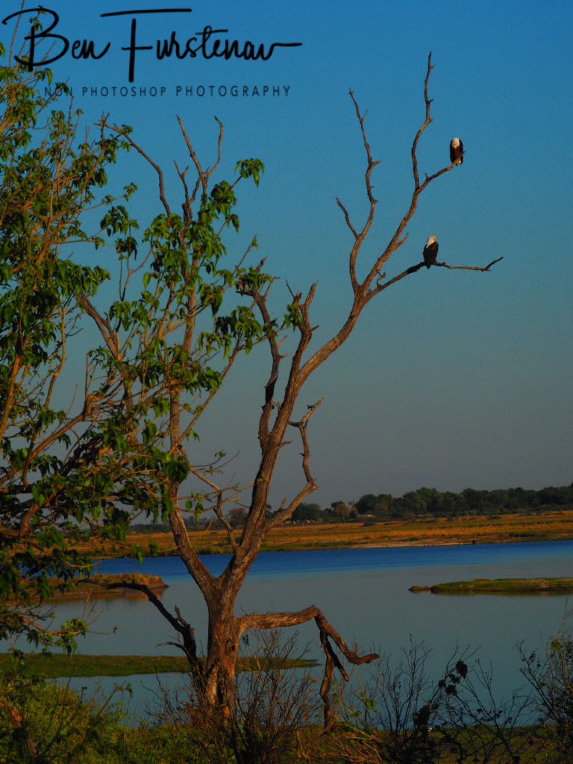 High vantage point, Chobe National Park, Botswana