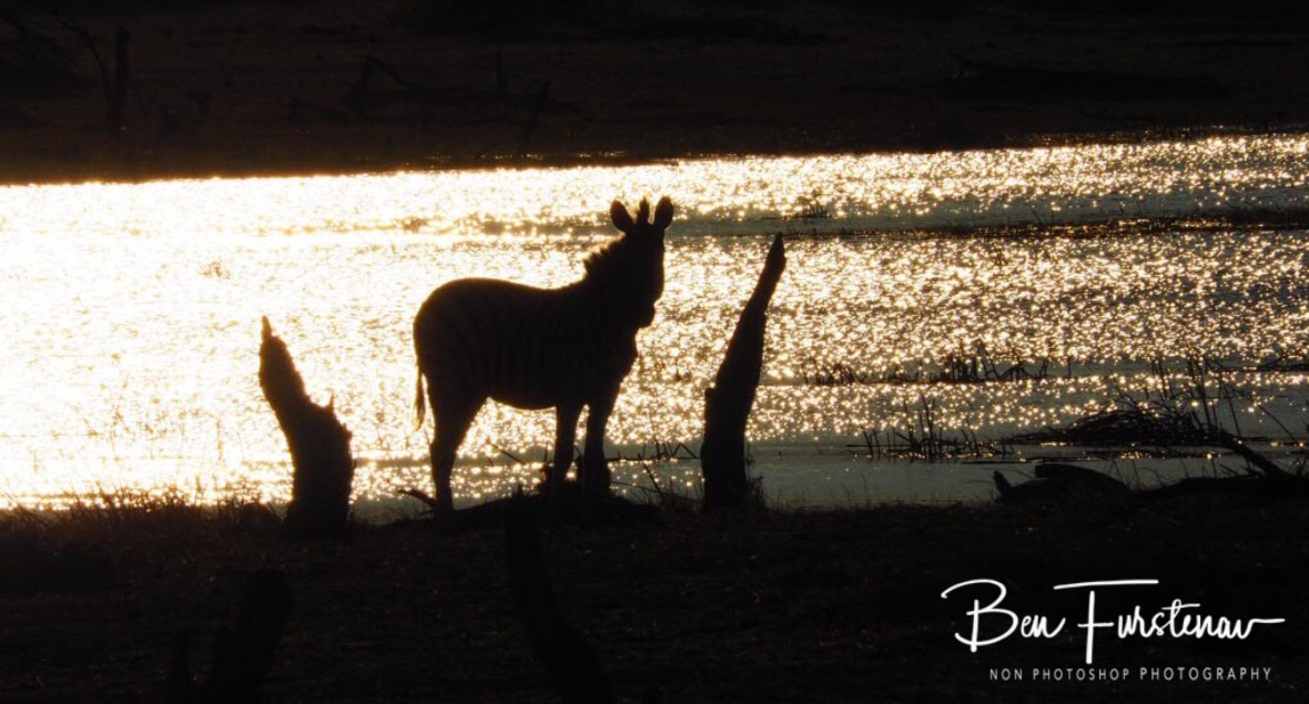 Sun shadows, Makgadikgadi National Park, Botswana