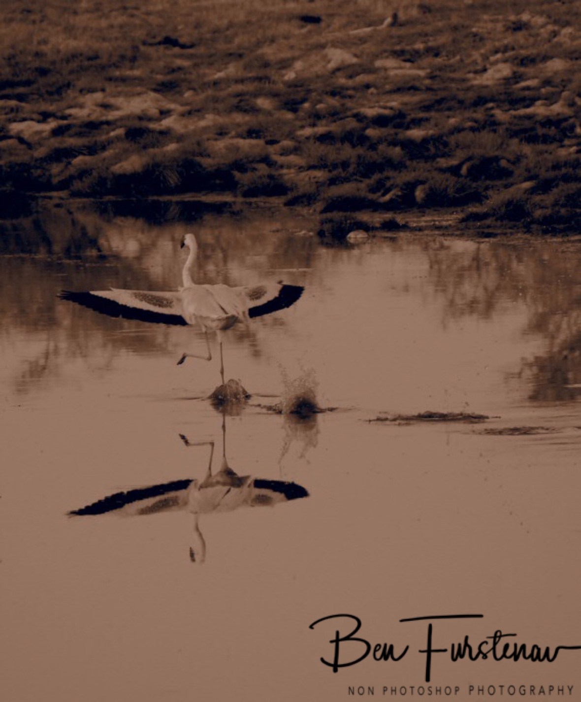Redlight landing, Makgadikgadi Salt Pans, Botswana 