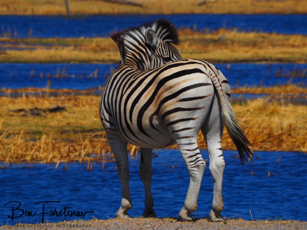 Stunning, Makgadikgadi National Park, Botswana