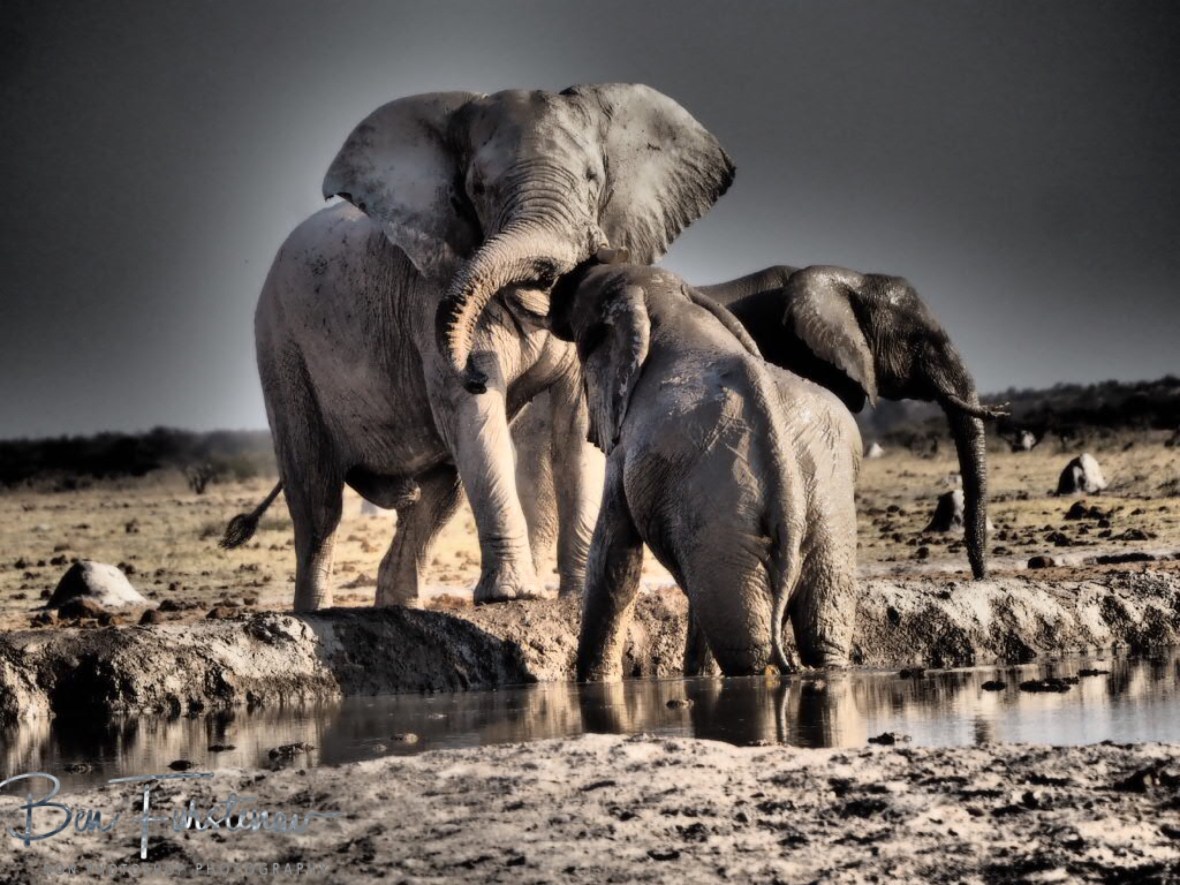Just a little bit longer?, Nxai National Park, Botswana