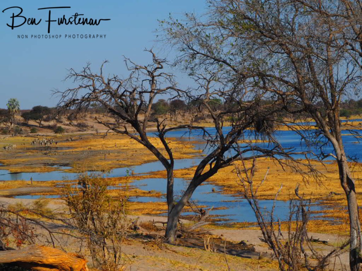 Colourful scenery, Makgadikgadi National Park, Botswana