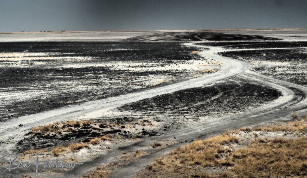 Botswana, Makgadikgadi Salt Pans