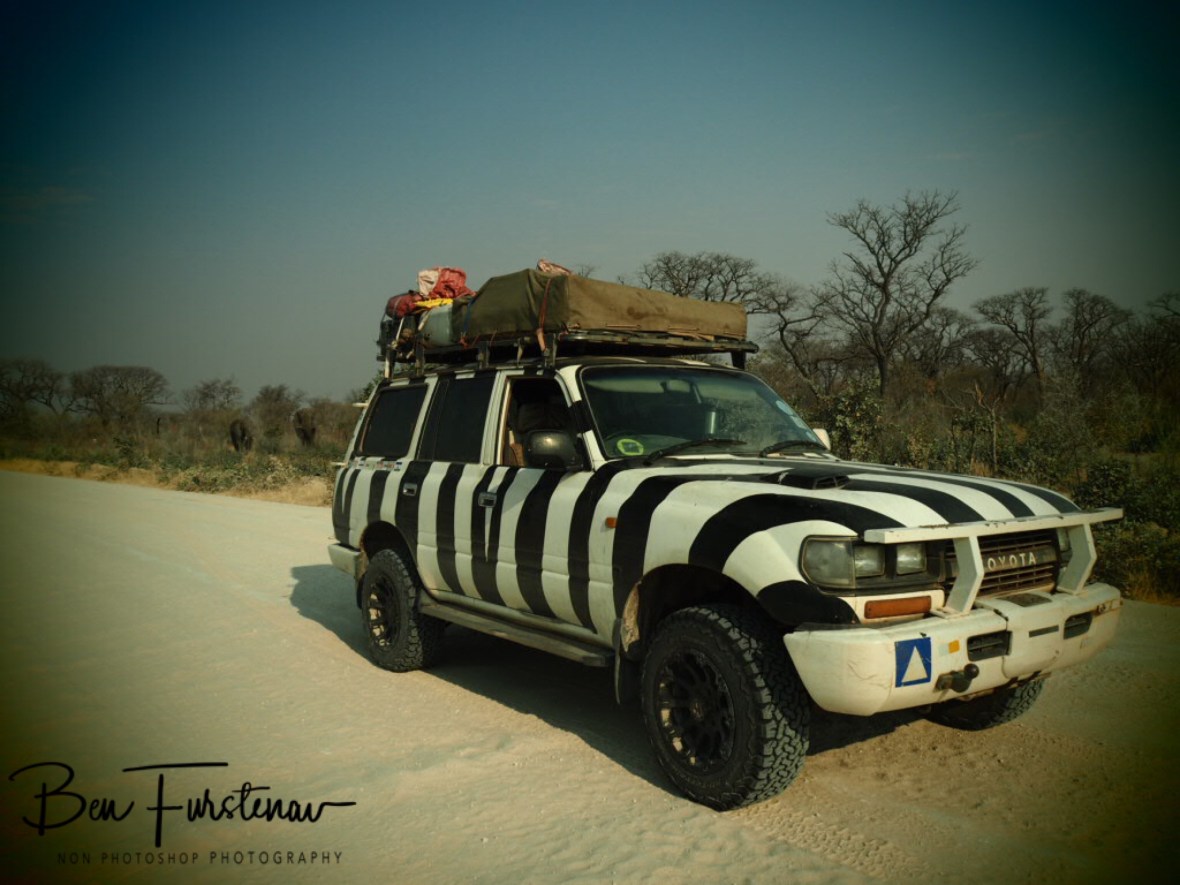 Passing elephants on our way, Tsolido Hills, Botswana