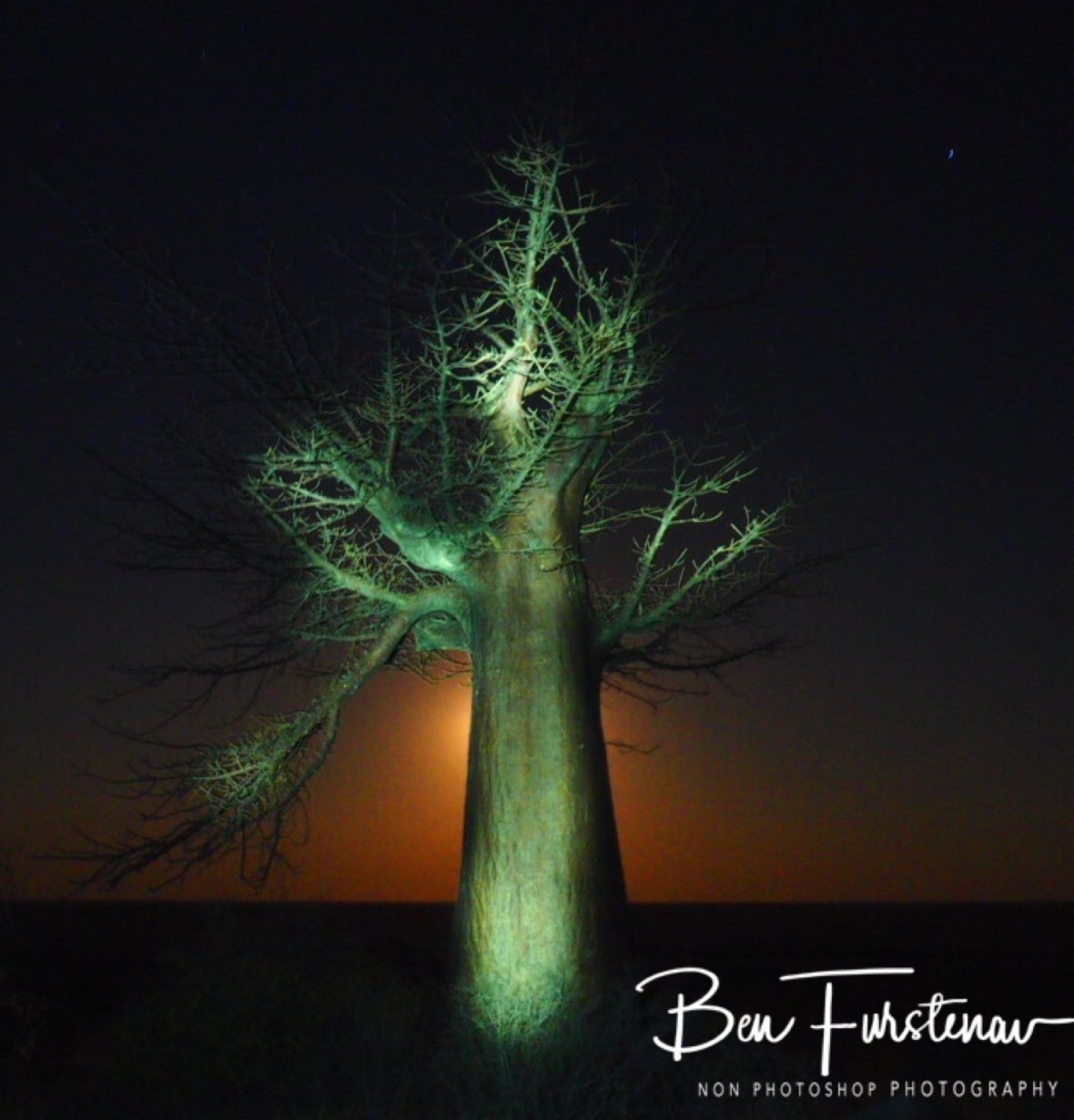 Light painting on Kubu Island, Makgadikgadi Salt Pans, Botswana 