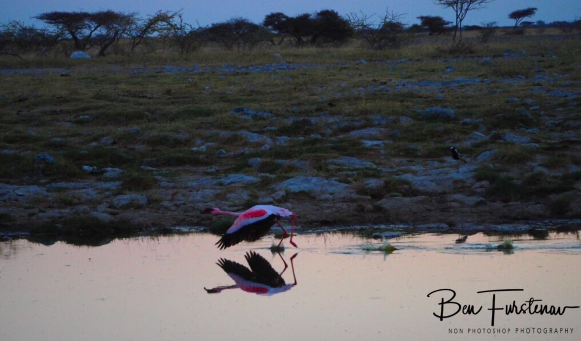 Trying the other directions, Makgadikgadi Salt Pans, Botswana 