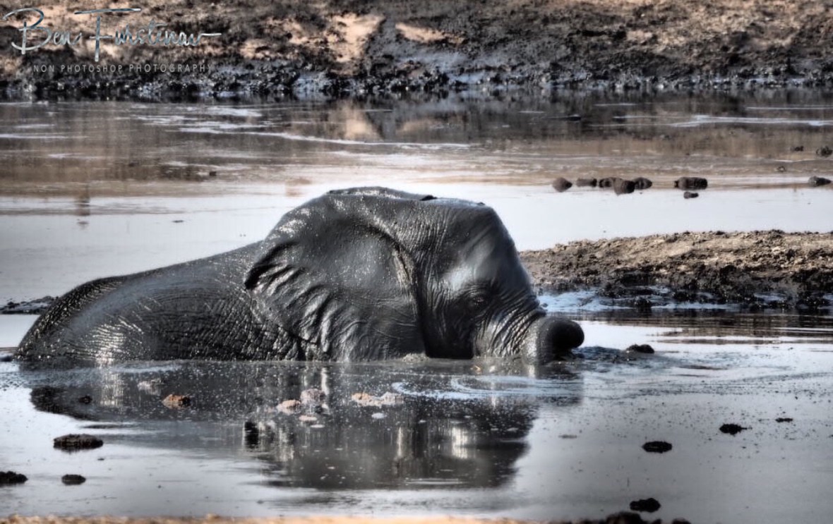 Feels so good, Khaudum National Park, Namibia