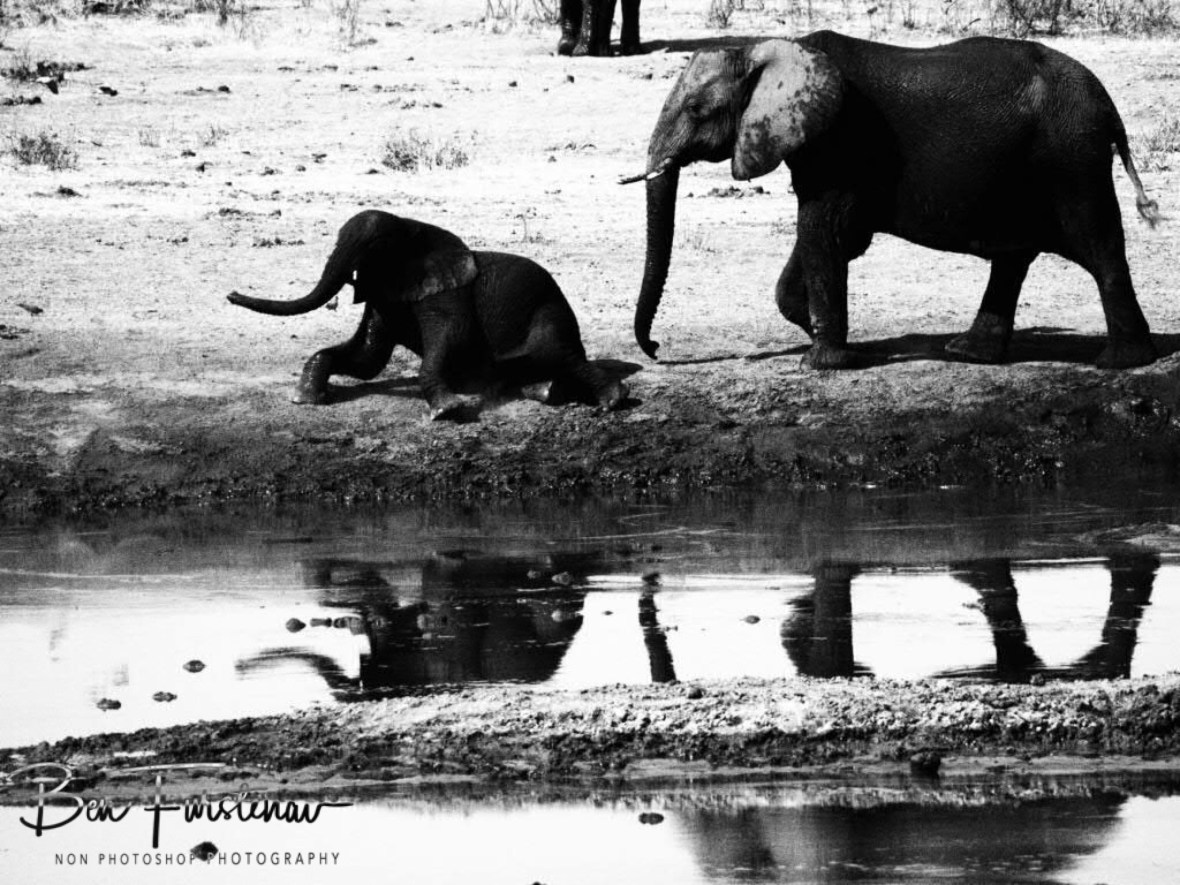 Next kids group in the mud, Khaudum National Park, Namibia