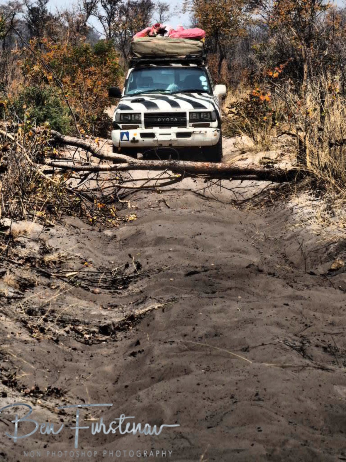 Elephant roadblock, Khaudum National Park, Namibia
