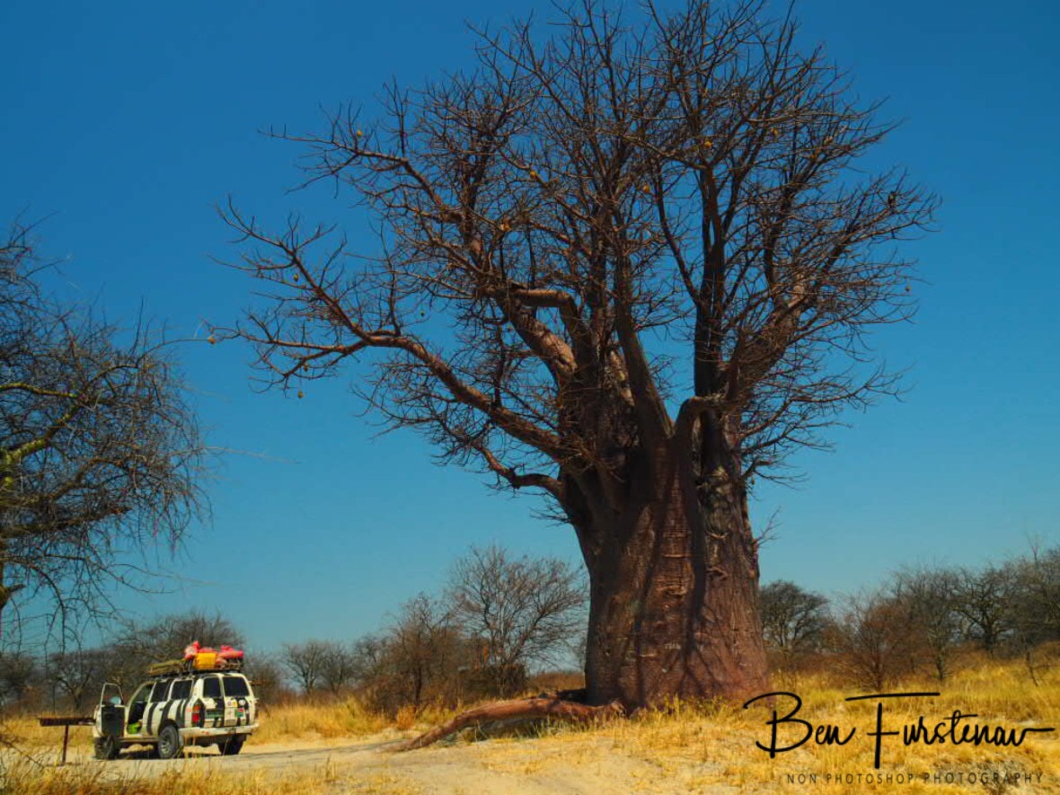 Makgadikgadi Salt Pans National Park Campground, Botswana 