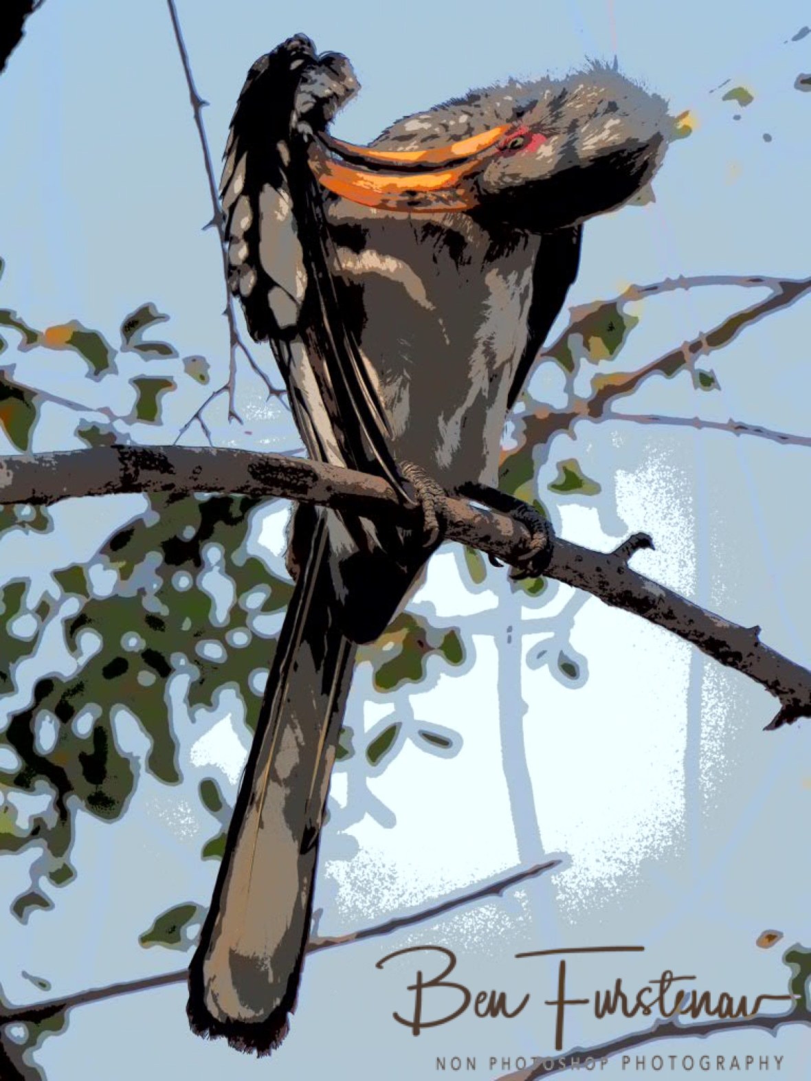 The left side too, Nkasa National Park, Namibia
