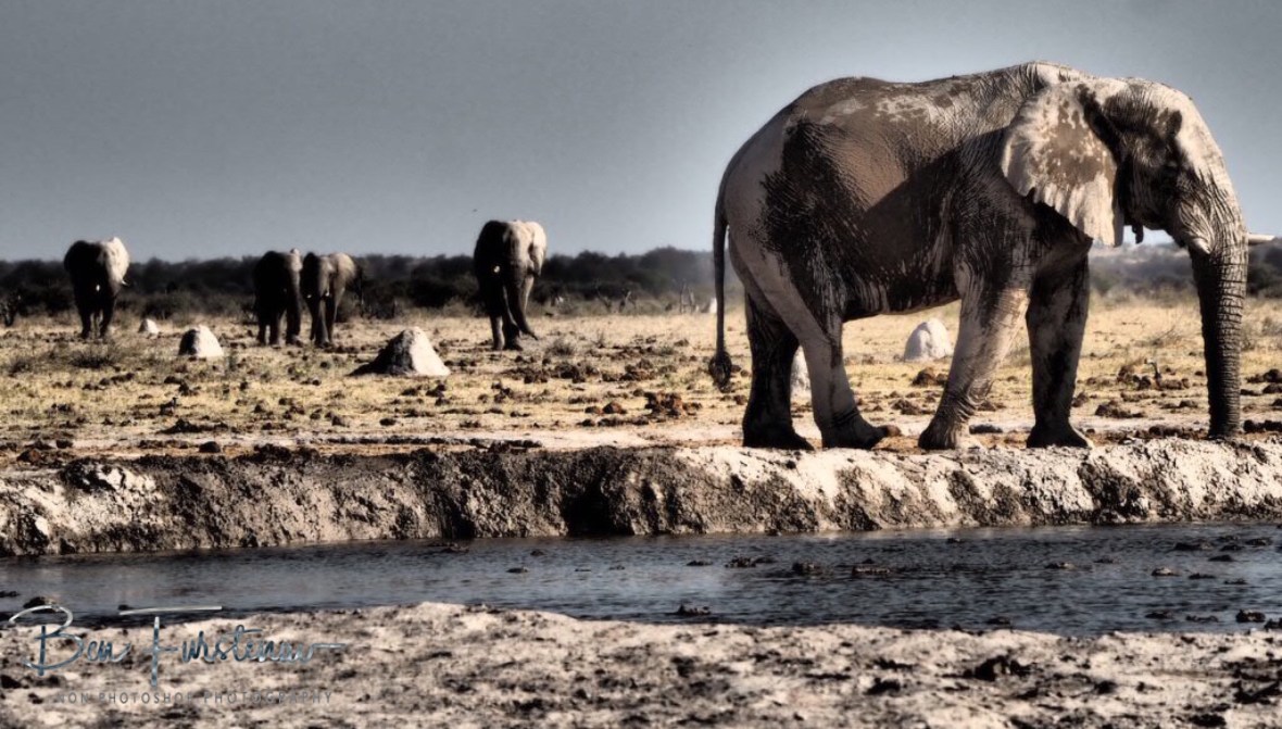 The arrival, Nxai National Park, Botswana