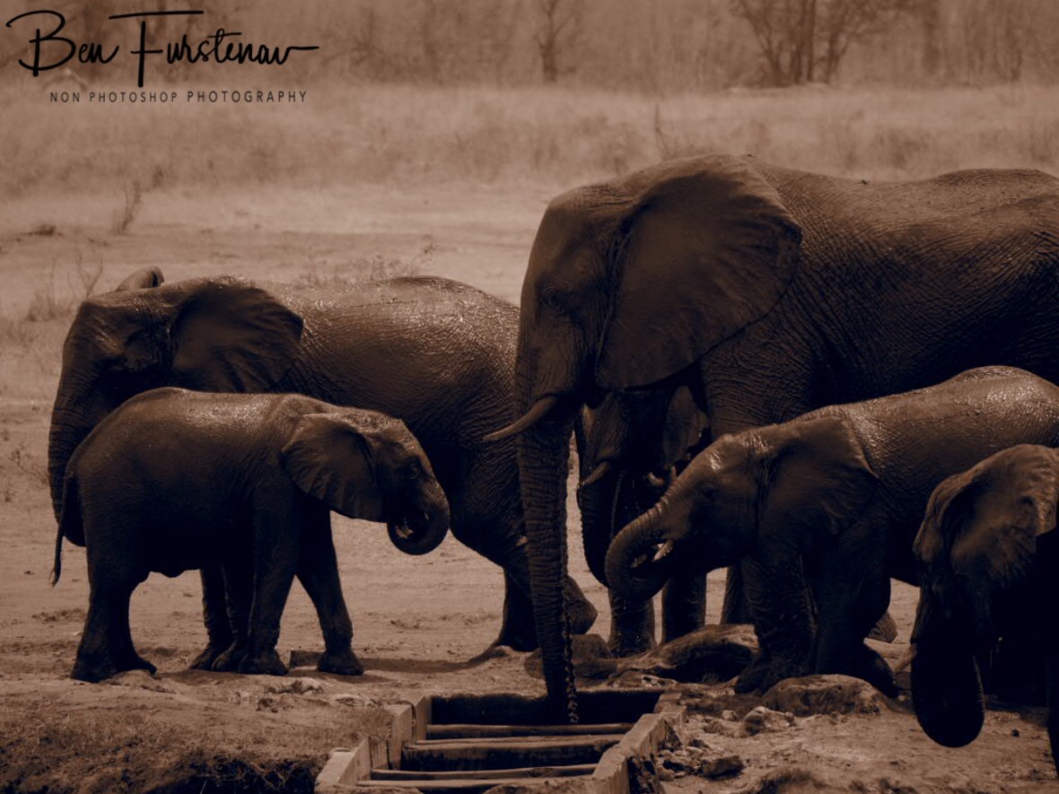 Family gathering, Khaudum National Park, Namibia