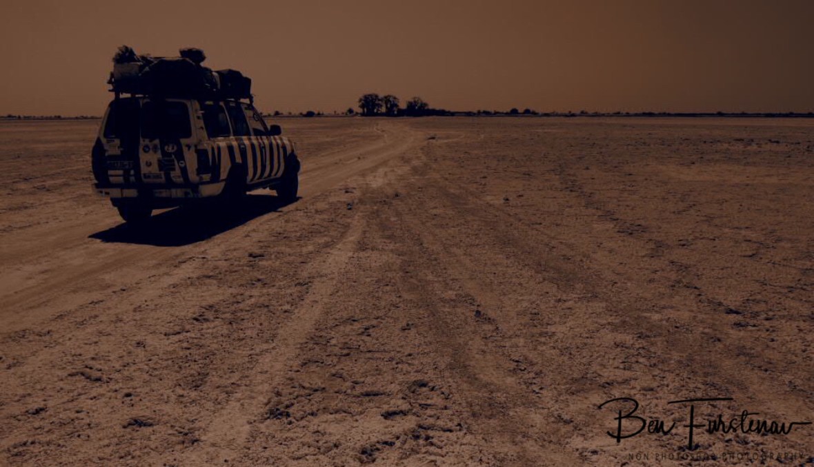 Baobab Beacons visibly from a distance, Makgadikgadi Salt Pans, Botswana 