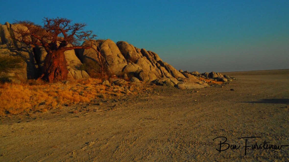 Edging granite boulders, Kubu Island, Makgadikgadi Salt Pans, Botswana 