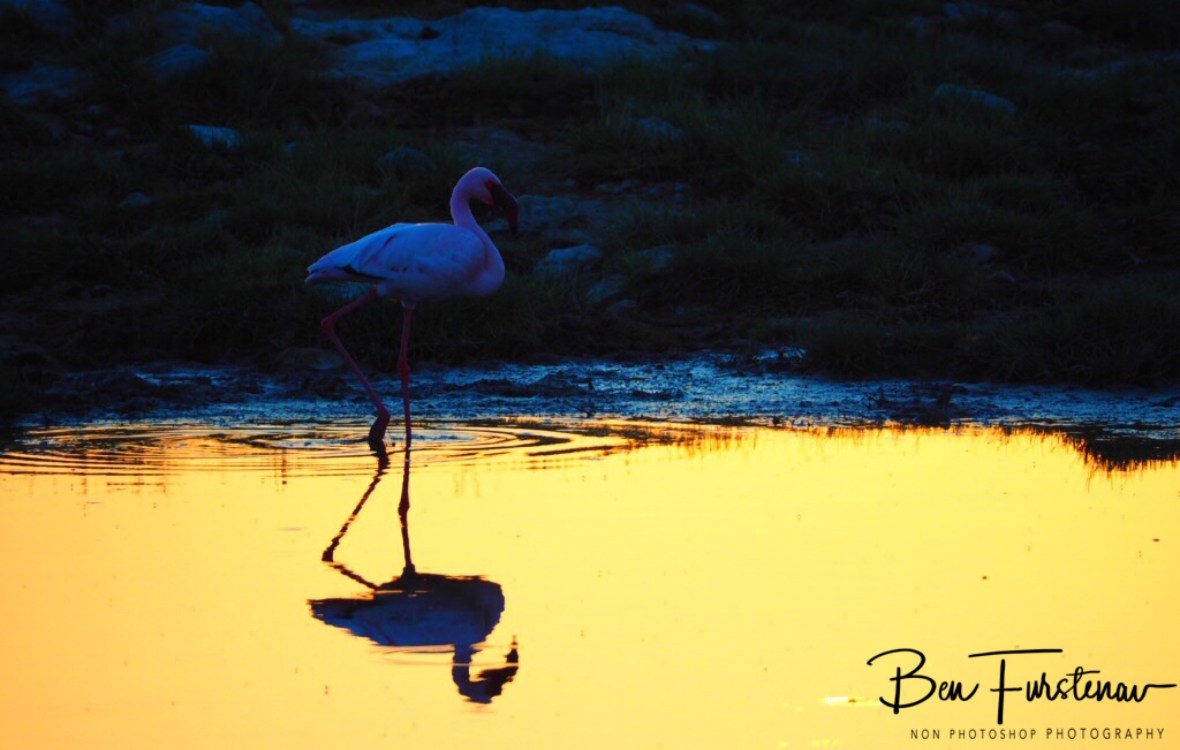 Sunset reflections, Makgadikgadi Salt Pans, Botswana 